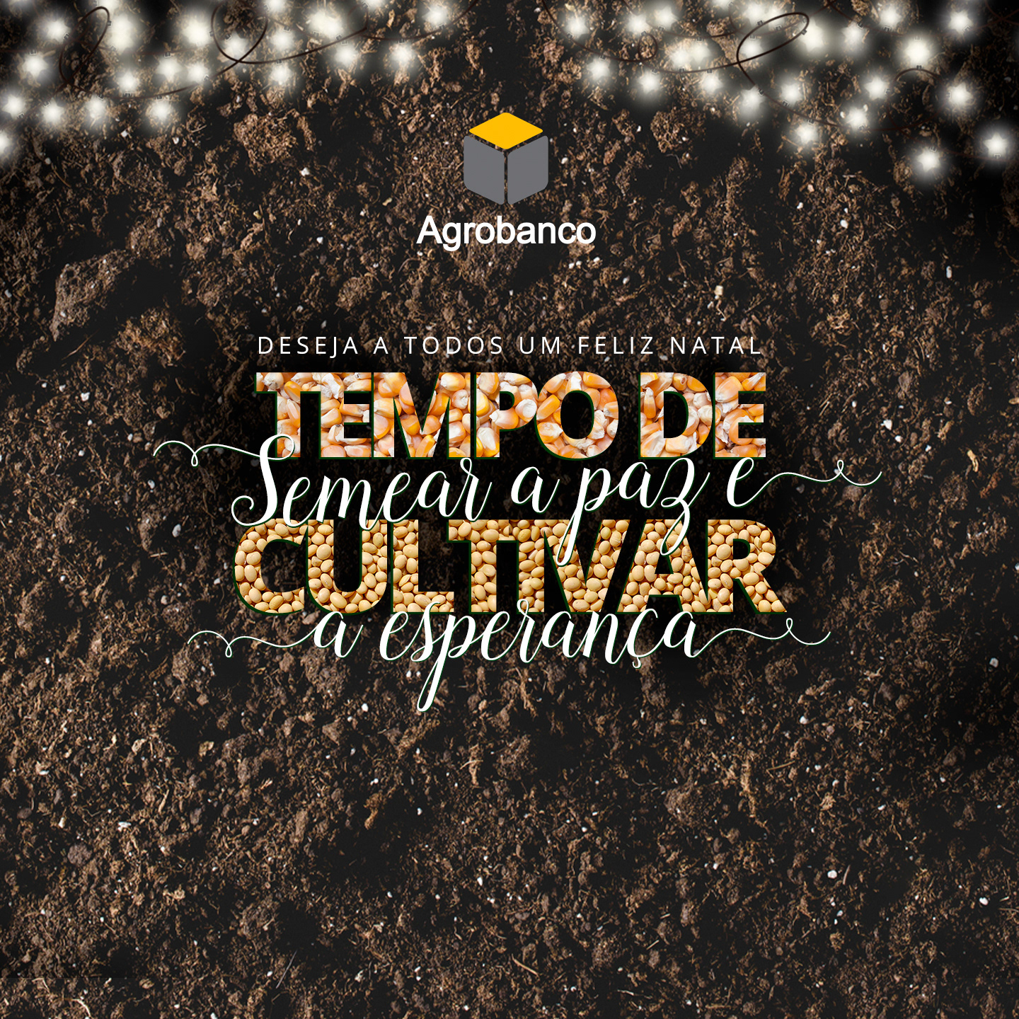 Agrobanco — imagem 4
