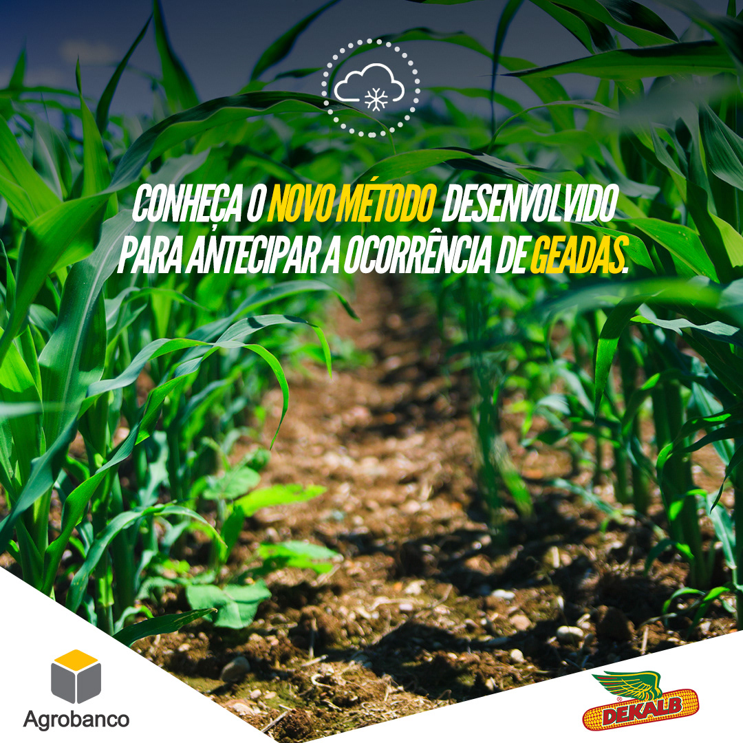 Agrobanco — imagem 6