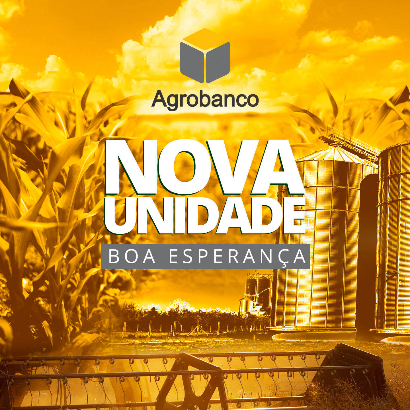Agrobanco — imagem 7