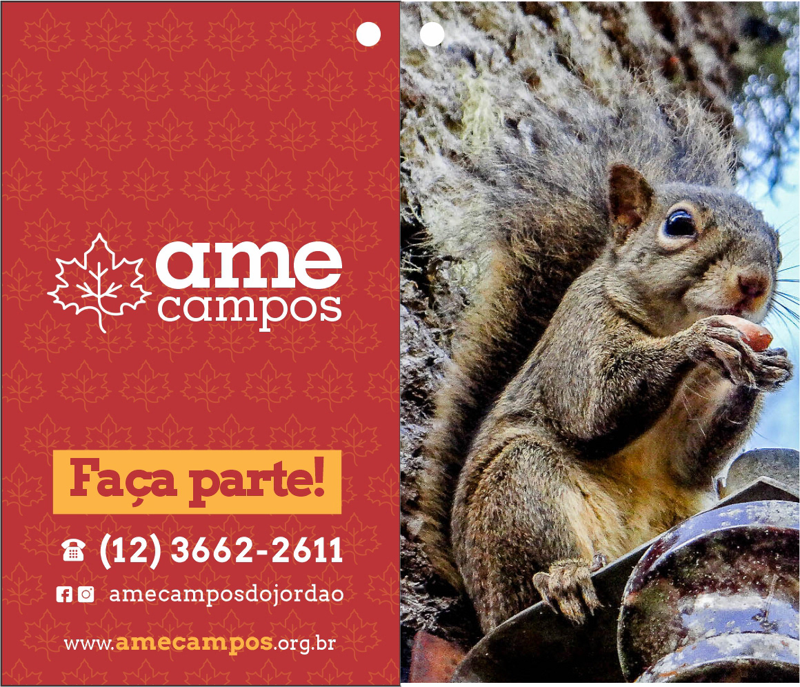 Ame Campos