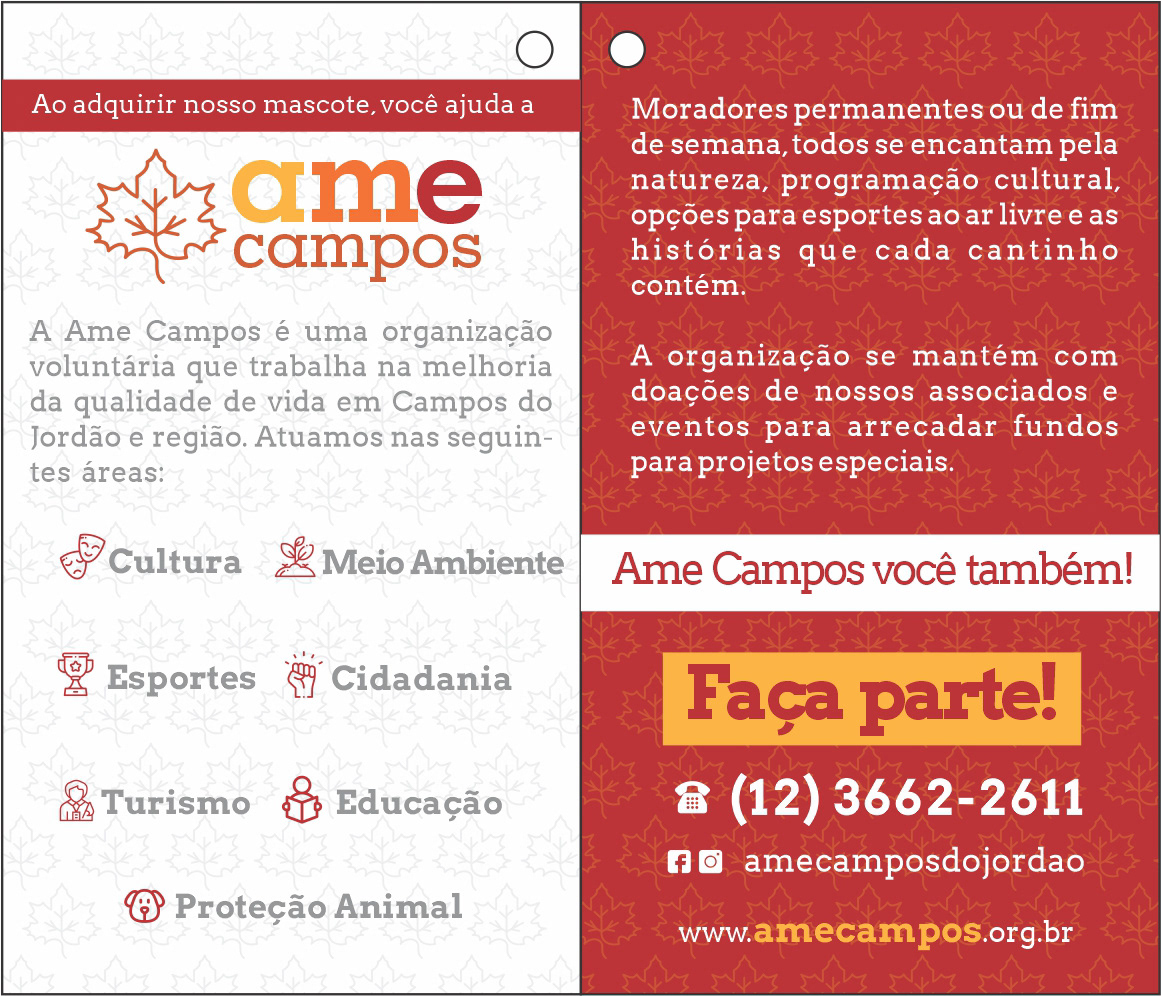 Ame Campos — imagem 2
