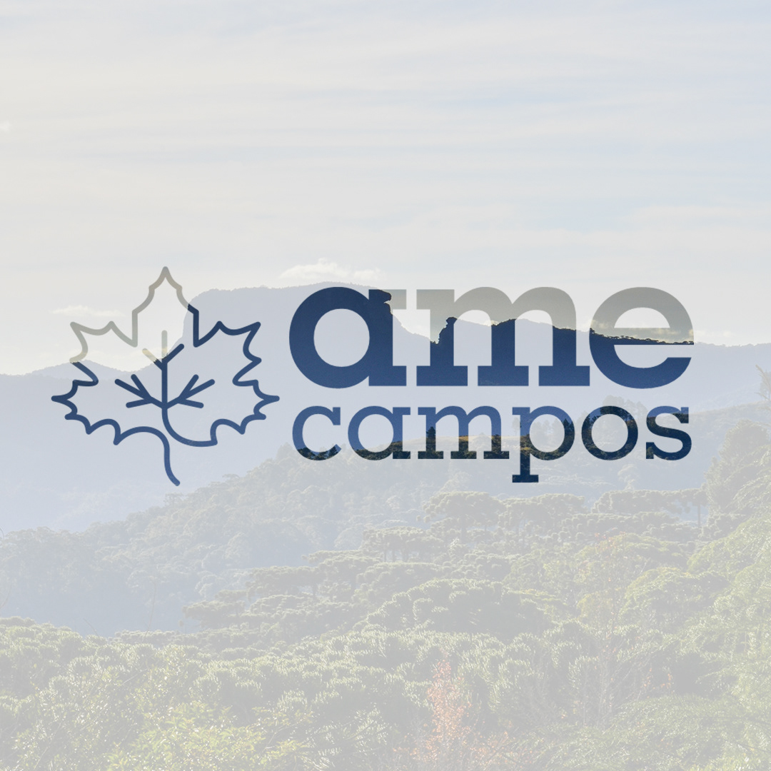Ame Campos — imagem 4