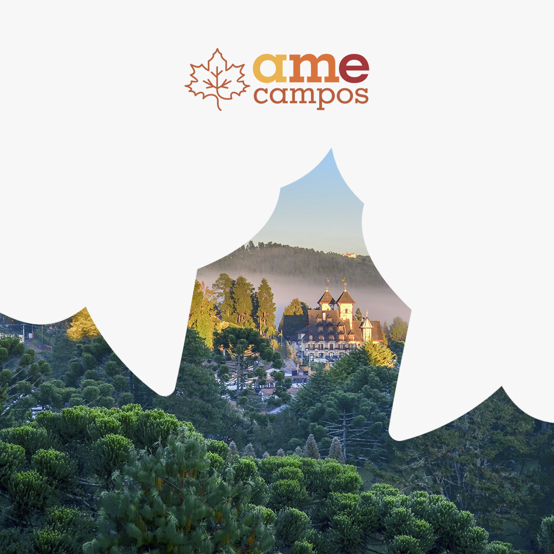 Ame Campos — imagem 5