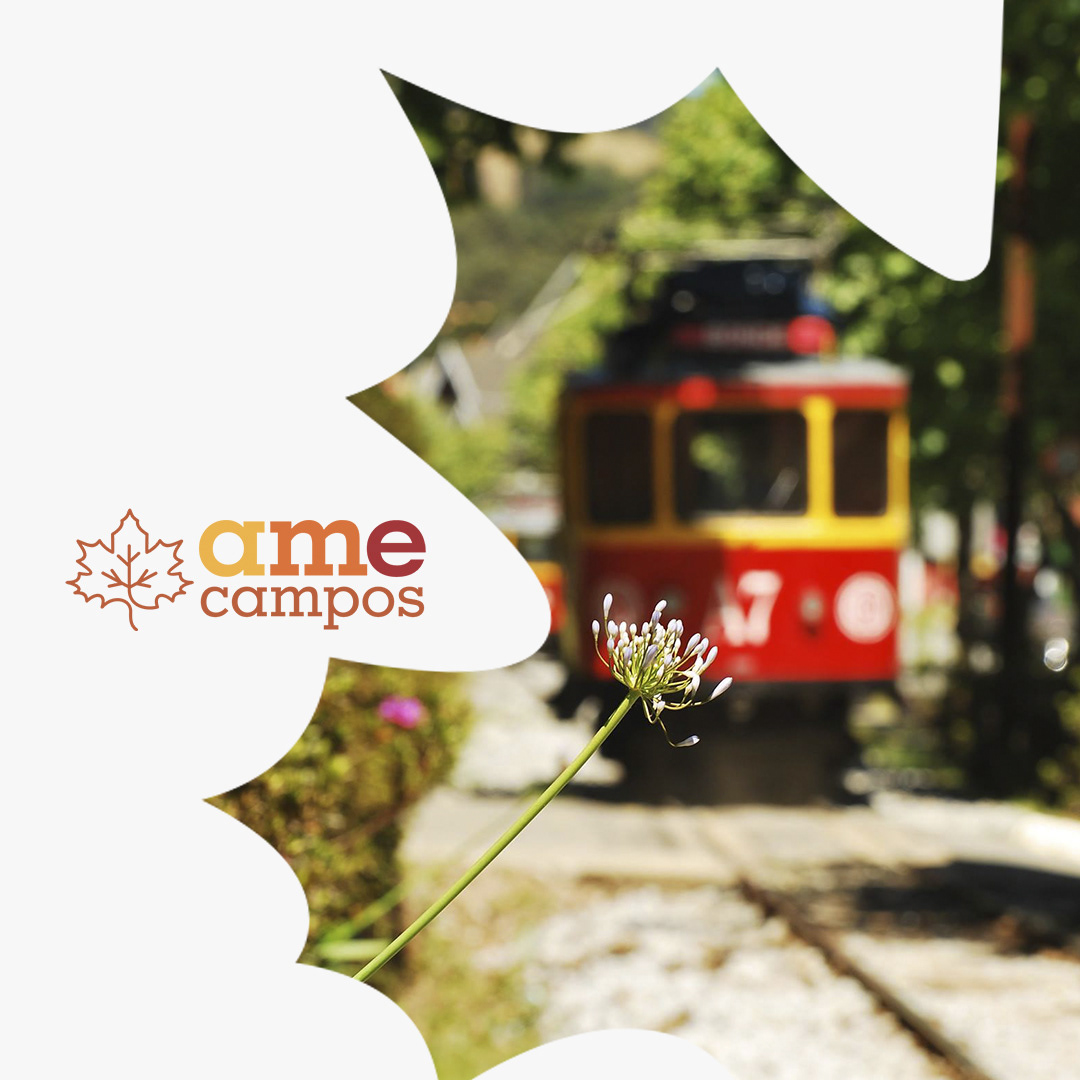 Ame Campos — imagem 6