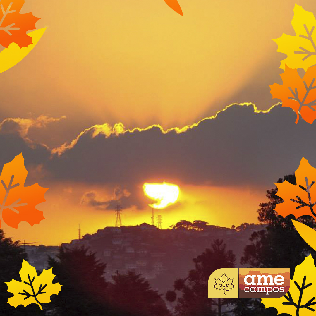 Ame Campos — imagem 8