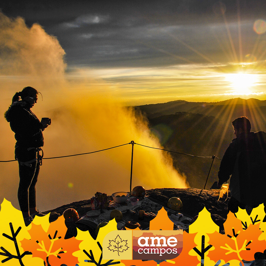 Ame Campos — imagem 10