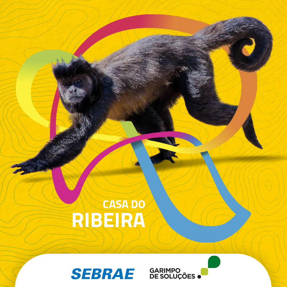 Dá Gosto ser do Ribeira — imagem 6