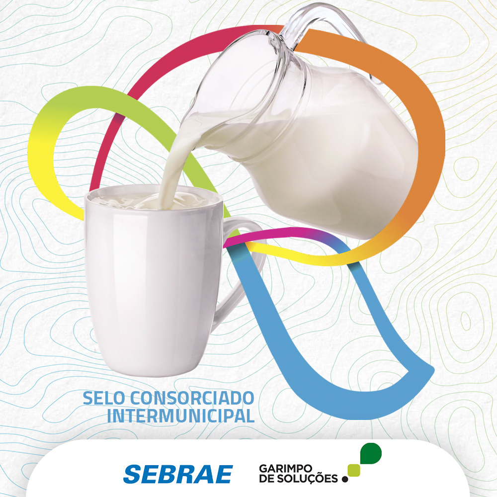Dá Gosto ser do Ribeira — imagem 17