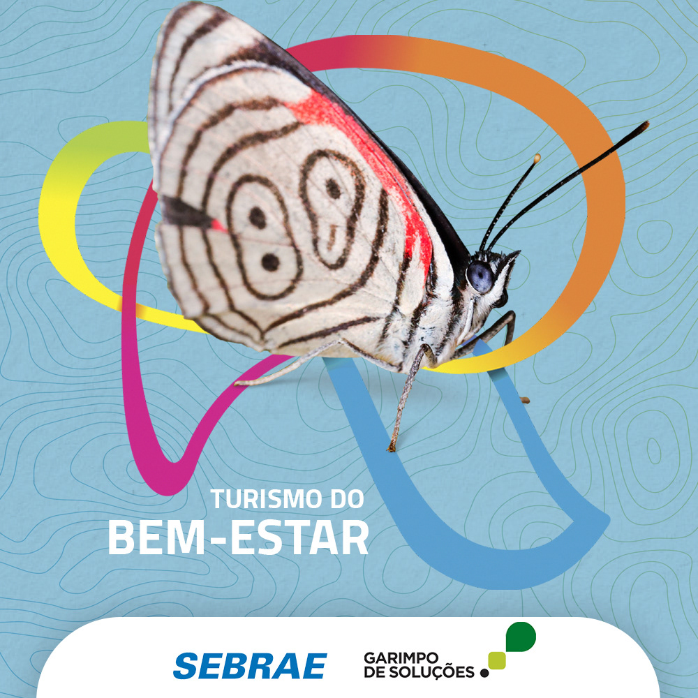 Dá Gosto ser do Ribeira — imagem 18