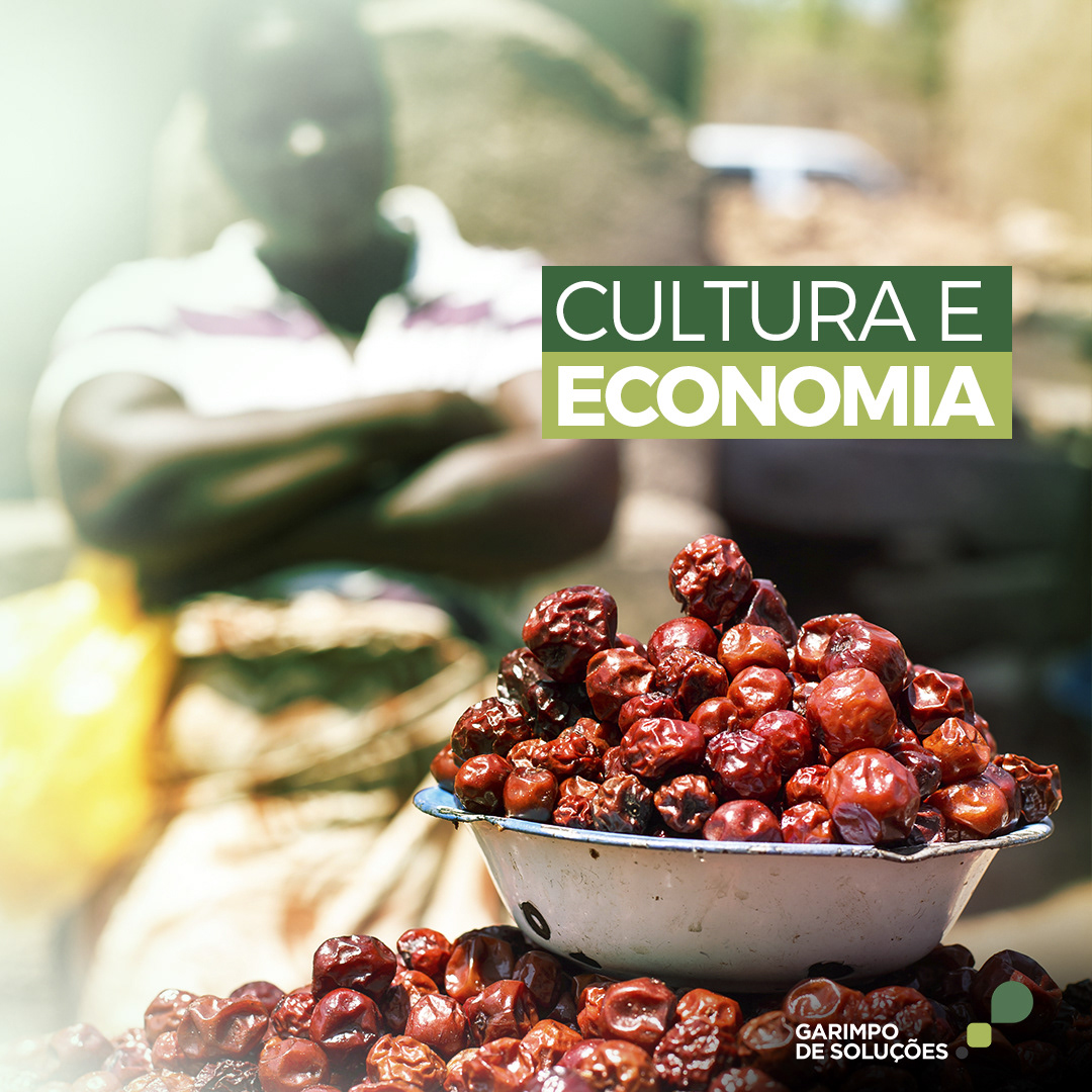 Garimpo de Soluções — imagem 36