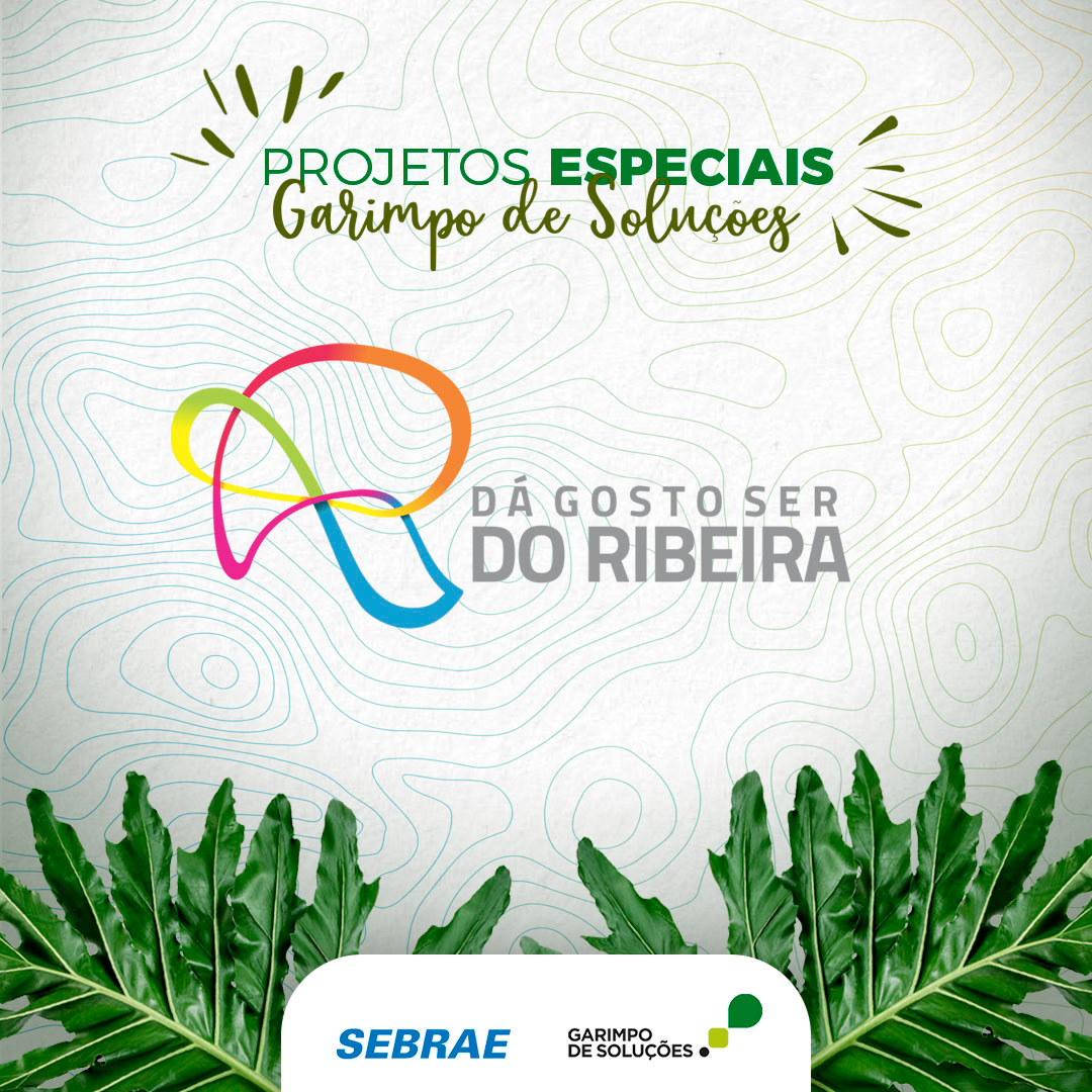 Garimpo de Soluções — imagem 42