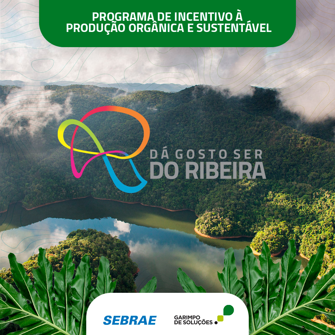 Garimpo de Soluções — imagem 51