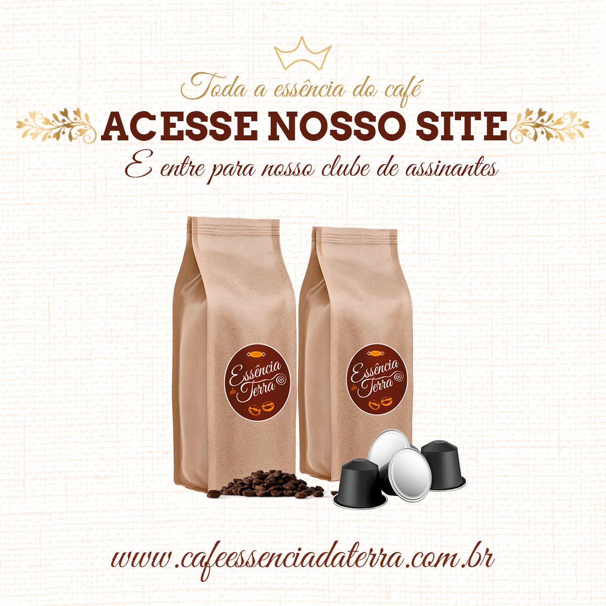 Grão da Terra Cafés Especiais — imagem 2