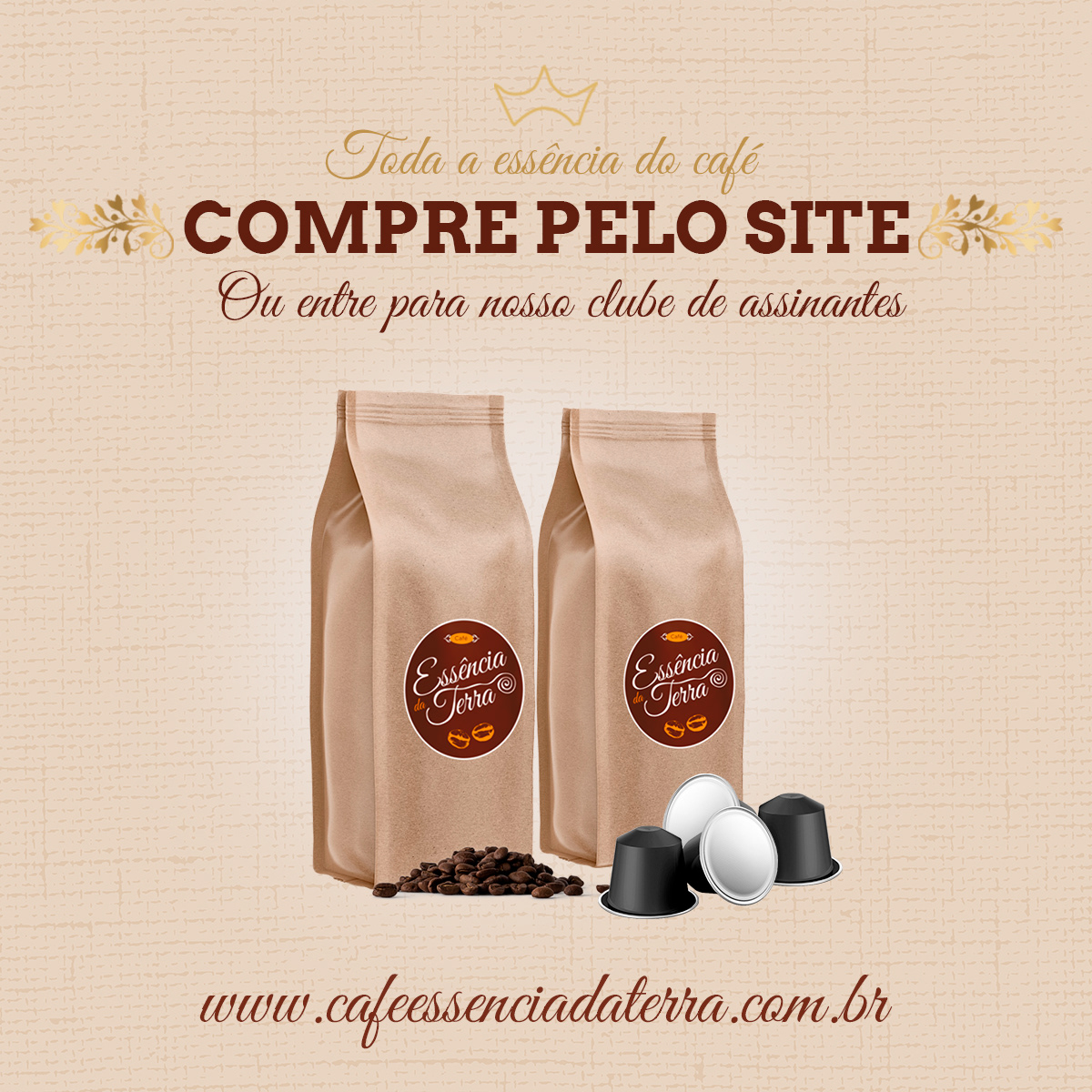 Grão da Terra Cafés Especiais — imagem 4