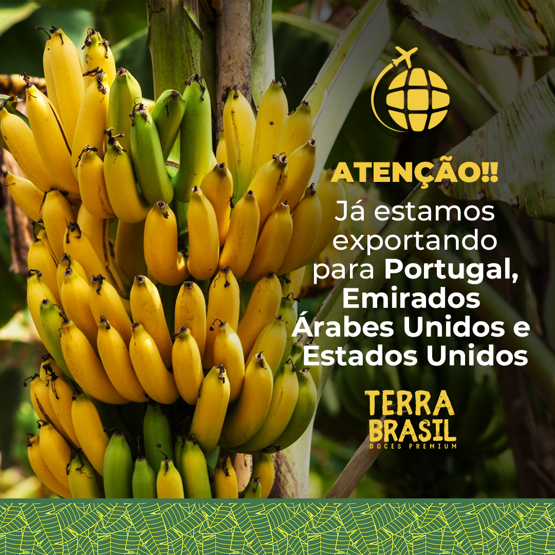 Redes Sociais Terra Brasil Doces — imagem 13
