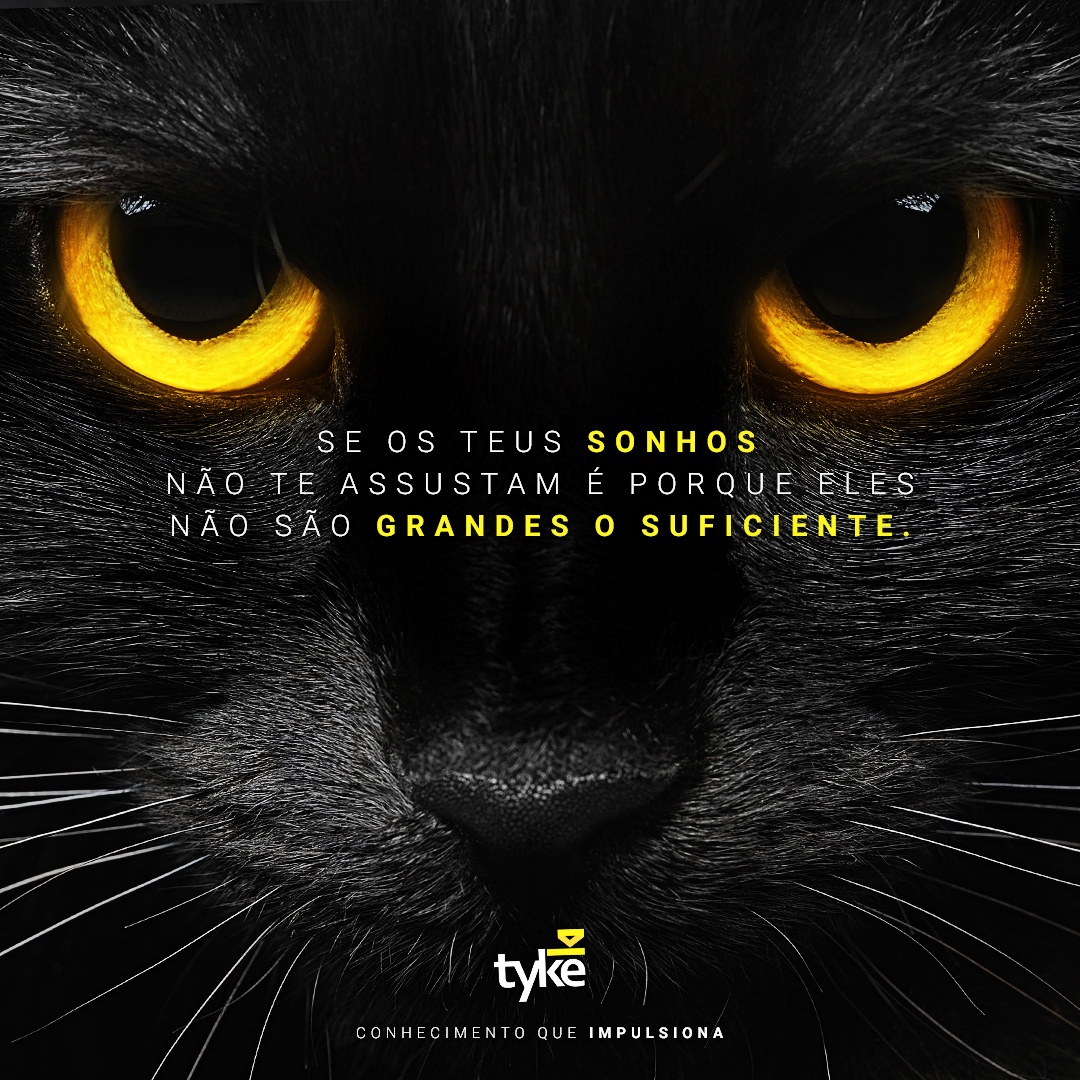 Tyke Mídia — imagem 2