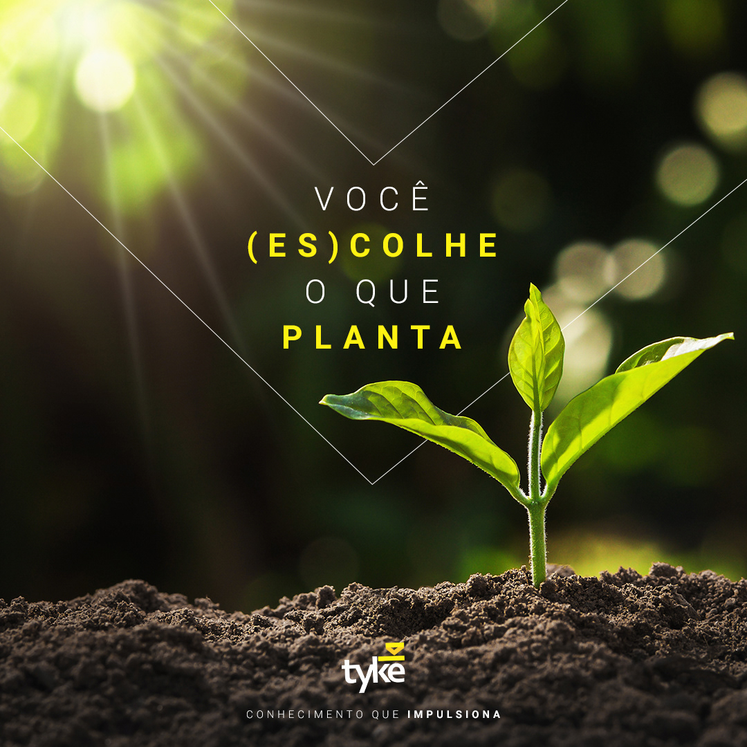 Tyke Mídia — imagem 18